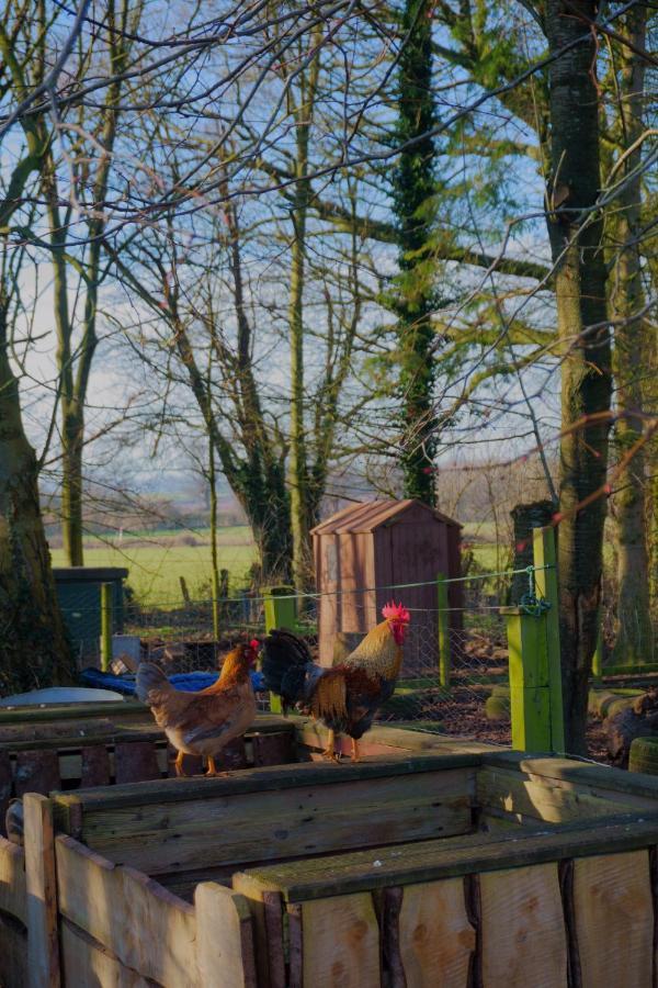 Meadow Barn Villa Hereford Dış mekan fotoğraf